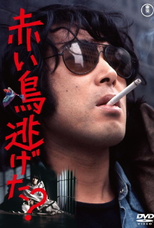 Did the Red Bird Escape? Trailer
