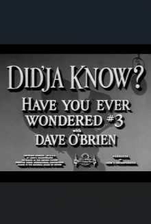 Did'ja Know? Trailer