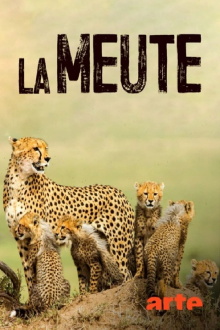 Die fünf Geparde - Gemeinsam durch die Serengeti Trailer