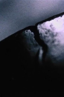 Differentiation of Breath Trailer