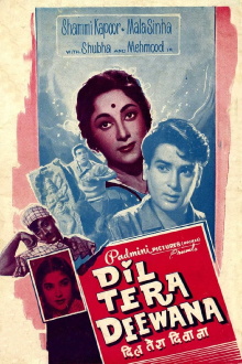 Dil Tera Diwana Trailer