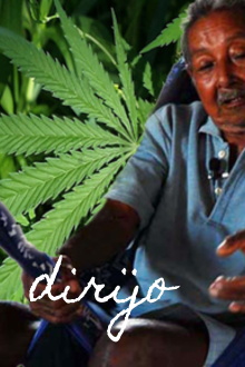 Dirijo Trailer