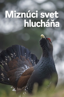 Disappearing World of the Capercaillie Trailer
