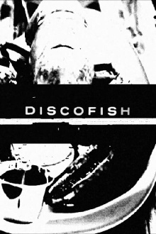 Discofish Trailer