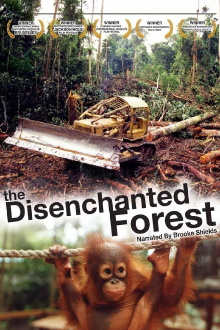 Disenchanted Forest Trailer