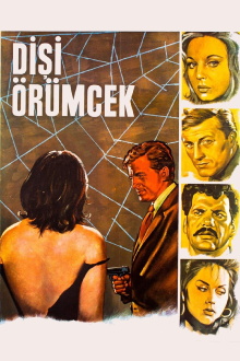 Dişi Örümcek Trailer