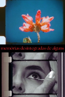 Disintegrated Memories of Some Trailer