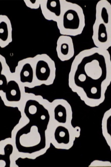 Disintegration Line #1 Trailer