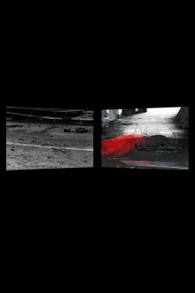 Dissonance and Disturbance Trailer