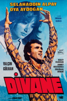 Divane Trailer