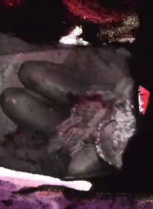 Diz Knee Wurld Trailer