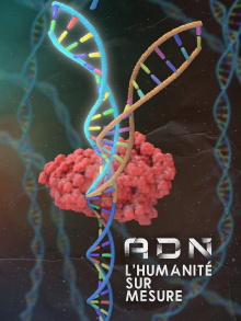 DNA: Custom Humanity Trailer