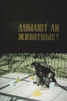 Do Animals Think? Trailer