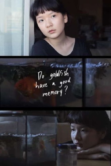 Do Goldfish Have a Good Memory? Trailer