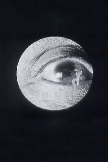 Doctor Mitchoff's Discovery Trailer