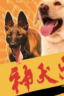 Dog Attack Trailer