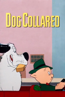 Dog Collared Trailer