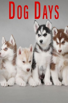 Dog Days Trailer