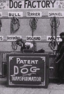 Dog Factory Trailer