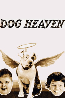 Dog Heaven Trailer