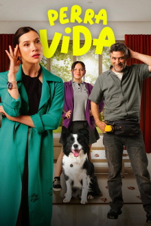 Dog Life Trailer