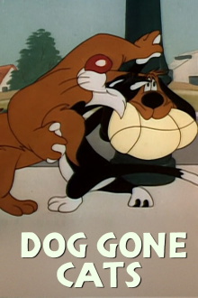 Doggone Cats Trailer