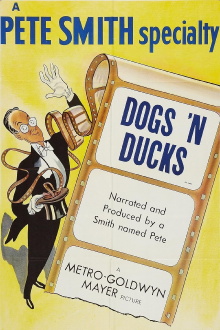 Dogs 'n Ducks Trailer