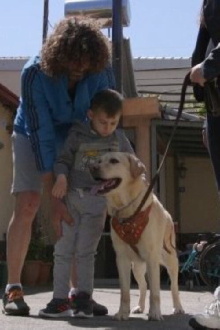 Dogs That Change Lives Trailer