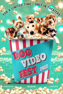 DogVideoFest 2022 Trailer