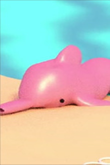Dolphin Poem Trailer