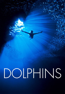 Dolphins Trailer