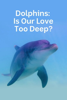 Dolphins: Is Our Love Too Deep? Trailer