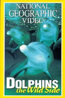 Dolphins: The Wild Side Trailer