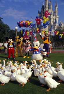 Donald Duck's 50th Birthday Trailer