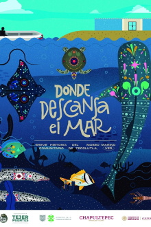 Donde descansa el mar: Breve historia del Museo Marino Comunitario de Tecolutla Trailer