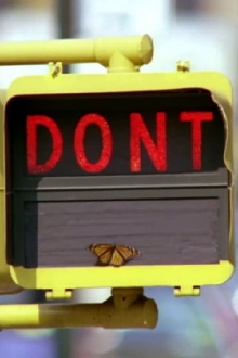 Don't Trailer