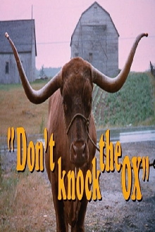 Don't Knock the Ox Trailer
