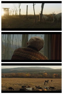 Don’t Leave Home! Trailer