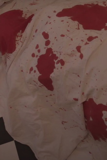 Don't Trust the Doll Trailer