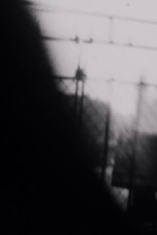 Double Shutter Trailer