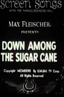 Down Among the Sugar Cane Trailer