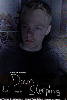 Down but not Sleeping Trailer