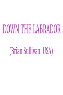 Down the Labrador Trailer