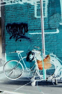 Doyer Street Trailer