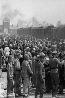 Dr Münch - läkare i Auschwitz Trailer