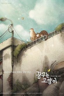 Dreaming Cat Trailer