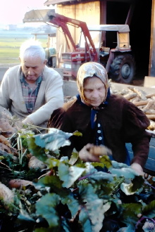 Drei Bauern unter einem Hut Trailer