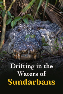Drifting in the Waters of Sundarbans Trailer