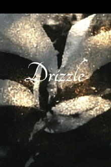 Drizzle Trailer