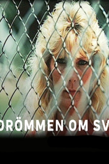 Drömmen Om Sverige Trailer